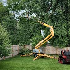 Best Arborist Consultation Services  in Soledad, CA